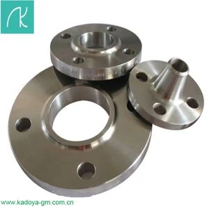 Din 2543 Pn16 Stainless Steel 316 Welding Slip on Flat Face Flange